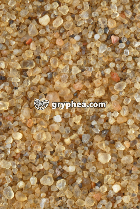 Sable - Dune d'Assouan (Egypte) x4 - gryphea.org